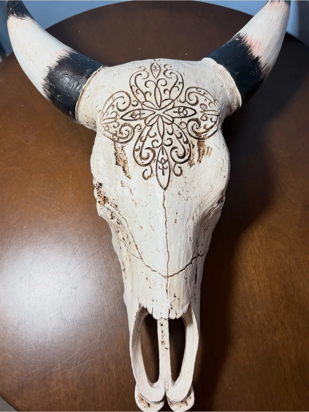 Decorative White Bull Skull Wall Accent with Black-Tipped Horns